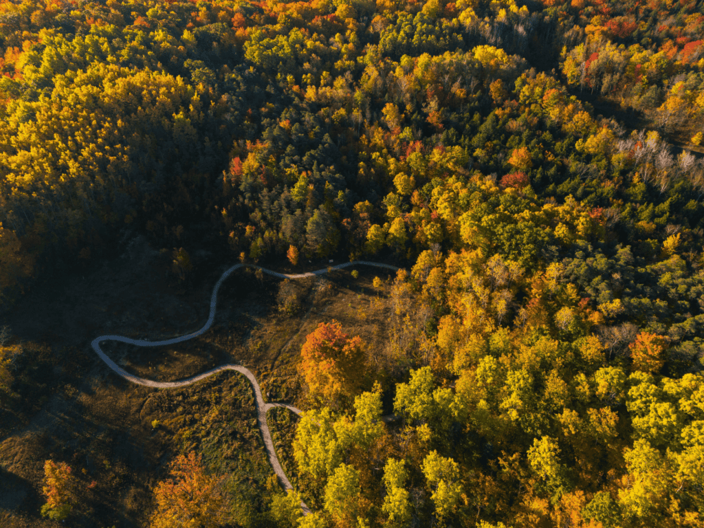 Nature Conservancy of Canada - Celebrating 30 Years - StrategyCorp